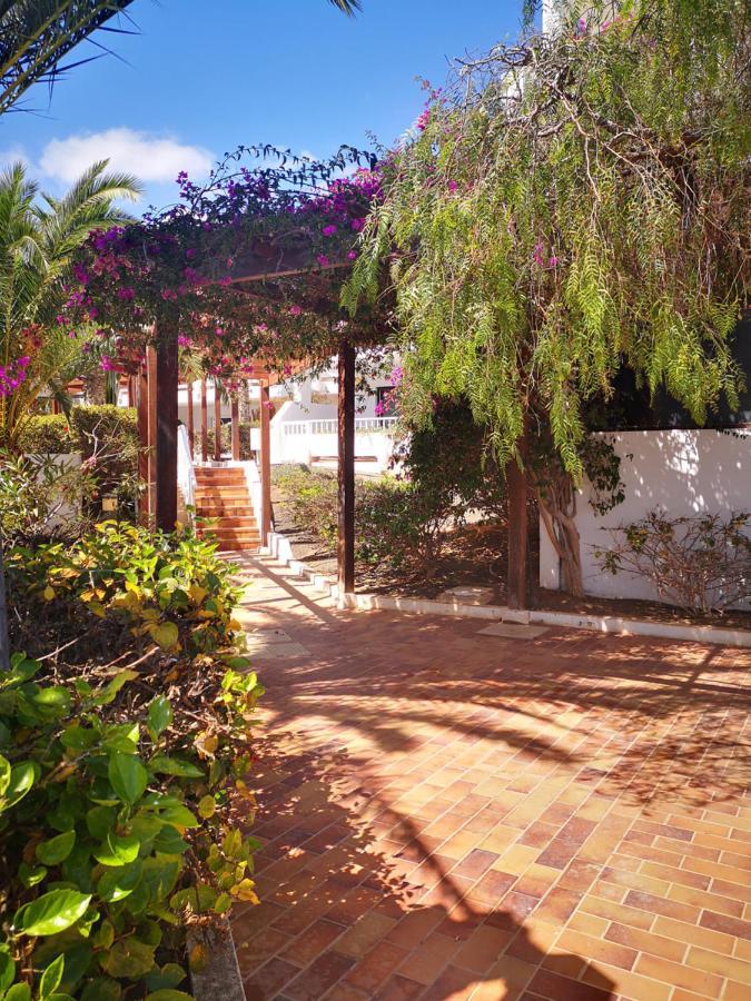 Comfortable Cleo Apartment With Large Terrace Costa Teguise Eksteriør bilde